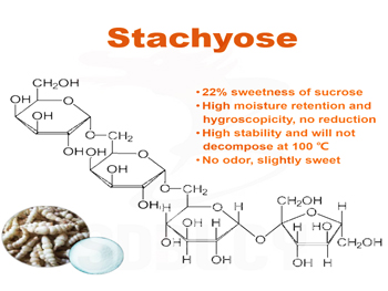 Stachyose Benefits，Uses and Side Effects